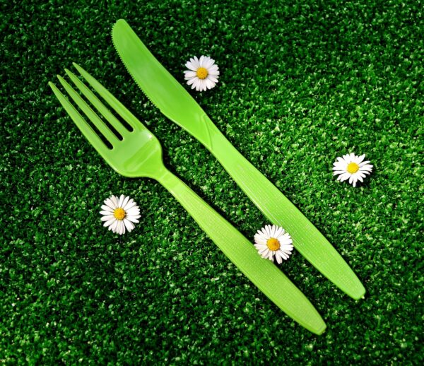 picnic, cutlery, plastic-2402635.jpg