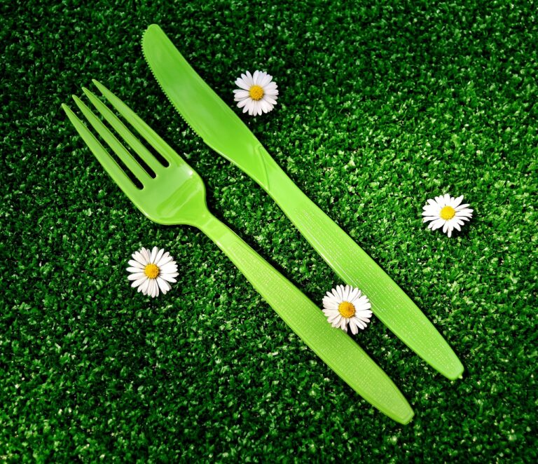 picnic, cutlery, plastic-2402635.jpg